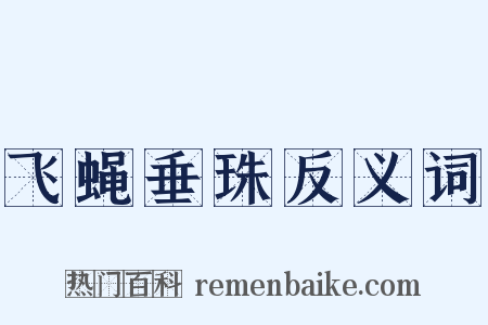 飞蝇垂珠反义词是什么意思的图片
